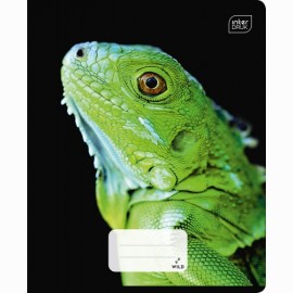 Sąsiuvinis Interdruk A5 48 lapų langeliais PARADISE  2