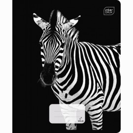 Sąsiuvinis Interdruk A5 48 lapų langeliais PARADISE  2