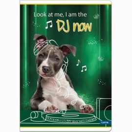 Sąsiuvinis(platus) A5 12lap 80g lang BE COOL