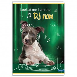 Sąsiuvinis(platus) A5 12lap 80g lin BE COOL