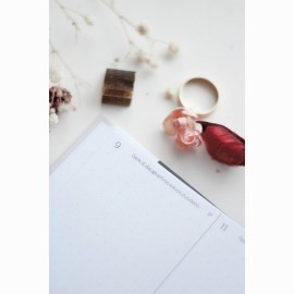 Laimės kalendorius - darbo knyga - VANDENYNAS 2026