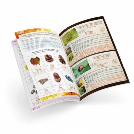 Kūrybinis rinkinys Vaikiškas terariumas