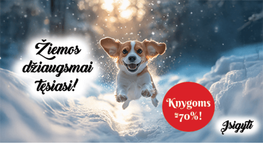 ŽIEMOS DŽIAUGMAI TĘSIASI | 01.07-03.02