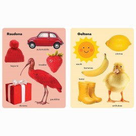 100 pirmųjų žodžių. Spalvos, skaičiai, formos