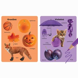 100 pirmųjų žodžių. Spalvos, skaičiai, formos