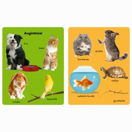 100 pirmųjų gyvūnų