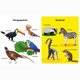 100 pirmųjų gyvūnų