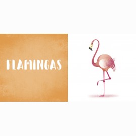 Mano pirmoji knyga. Apie laukinius gyvūnus