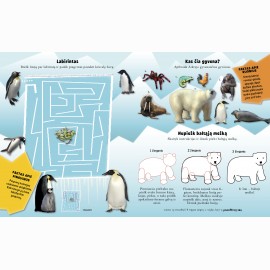 Arktis. Lipdukų ir veiklos knyga