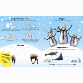 Arktis. Lipdukų ir veiklos knyga