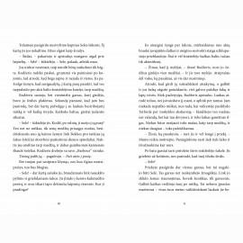 Blogas šuo. Detektyvas Robertas ketas, 2 dalis