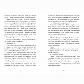 Blogas šuo. Detektyvas Robertas ketas, 2 dalis