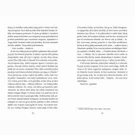 Dangaus ir žemės bakalėja