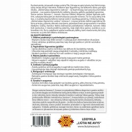 Ekstremalaus išgyvenimo vadovas: kaip planuoti gyvenimą, paruošti namus, transportą ir šeimą stichin