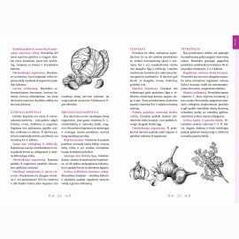 Geri metai. Moters kalendorius