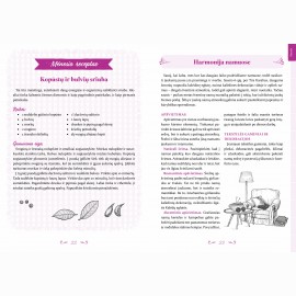 Geri metai. Moters kalendorius