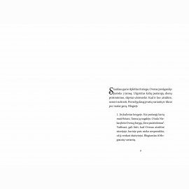 Istorijų vagys. Tavo pasirinkimas. 4 knyga