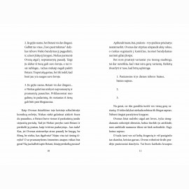 Istorijų vagys. Tavo pasirinkimas. 4 knyga