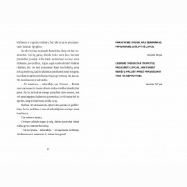 Istorijų vagys. Tavo pasirinkimas. 4 knyga