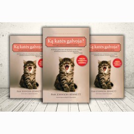 Ką katės galvoja? Sužinokite, ką katės galvoja ir nustebsite, kaip lengva jas suprasti