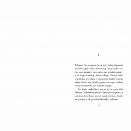 Lapis. Paslapčių miestas