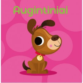 Pirmieji gyvūnai. Mano mažoji biblioteka