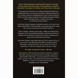 Pradedantysis piktadarys