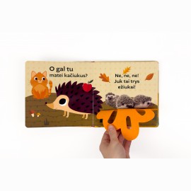 Surask kačiukus. Su nuotraukomis, medžiagėlėmis ir iššokančiu katinėliu!