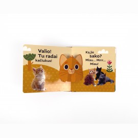 Surask kačiukus. Su nuotraukomis, medžiagėlėmis ir iššokančiu katinėliu!