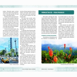 XXI amžiaus klajokliai