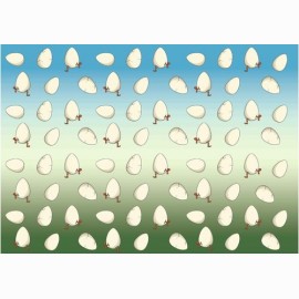 Stalo žaidimas Chicken farm