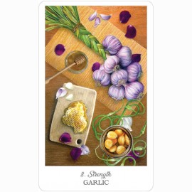 Ttaro kortos HE HERBCRAFTERS TAROT