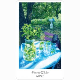 Ttaro kortos HE HERBCRAFTERS TAROT