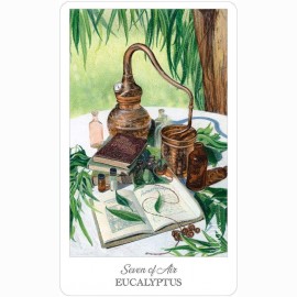Ttaro kortos HE HERBCRAFTERS TAROT