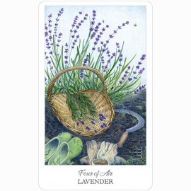 Ttaro kortos HE HERBCRAFTERS TAROT