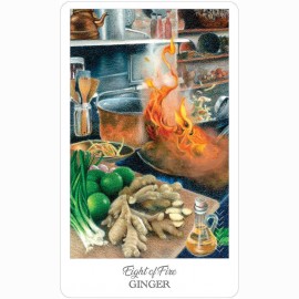 Ttaro kortos HE HERBCRAFTERS TAROT
