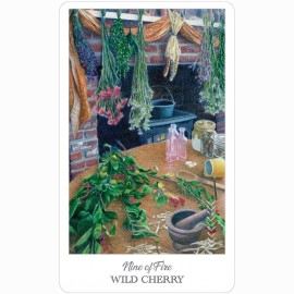 Ttaro kortos HE HERBCRAFTERS TAROT