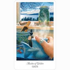Ttaro kortos HE HERBCRAFTERS TAROT