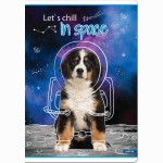 Sąsiuvinis(platus) A5 12lap 80g lang BE COOL