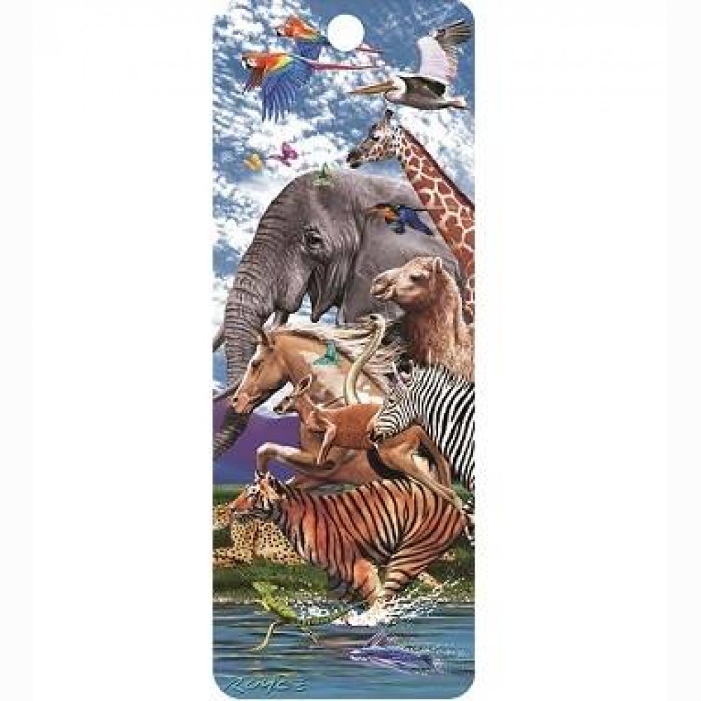 Skirtukas knygai 3D Migracija/ChG