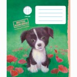 Sąsiuvinis  Holly Webb DŽESĖ, 12 l., langeliais