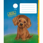 Holly Webb sąsiuvinis NIKAS, 1 kl., linijomis (2022)