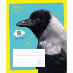 Sąsiuvinis VARNA, 12 l., linijomis