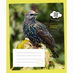 Sąsiuvinis VARNĖNAS, 12 l., linijomis