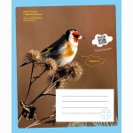 Sąsiuvinis DAGILIS, 12 l., langeliais