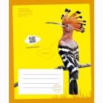 Sąsiuvinis KUKUTIS, 12 l., langeliais