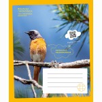 Sąsiuvinis RAUDONUODEGĖ, 12 l., langeliais