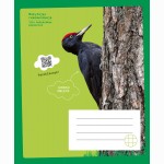 Sąsiuvinis MELETA, 12 l., langeliais