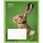 Sąsiuvinis KIŠKIS 24 l., langeliais