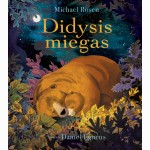 Didysis miegas